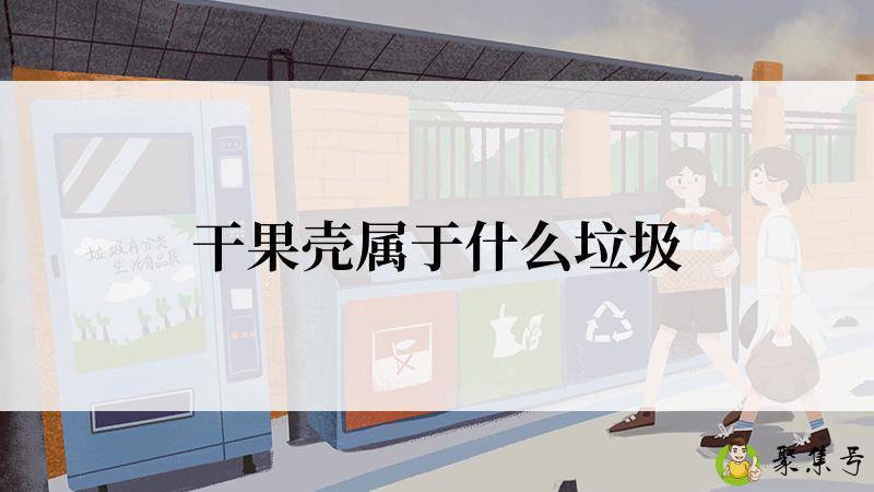 干果壳属于什么垃圾