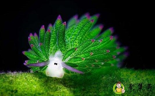 艺术细胞是指什么