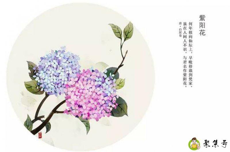 古人莳花是什么意思