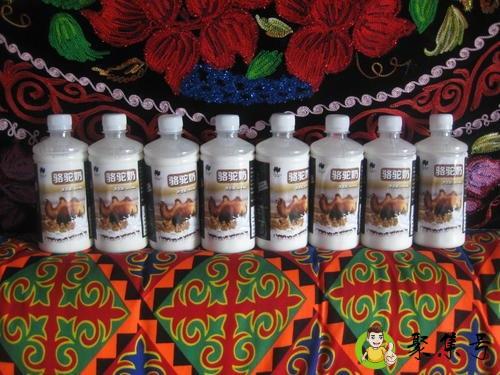 鲜骆驼奶的正确食用方法