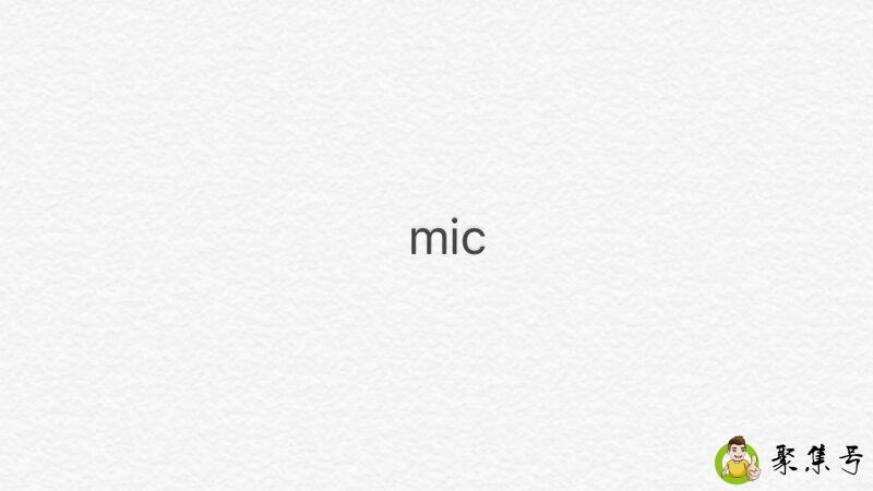 mic什么意思