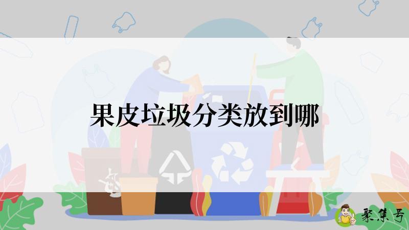 果皮垃圾分类放到哪