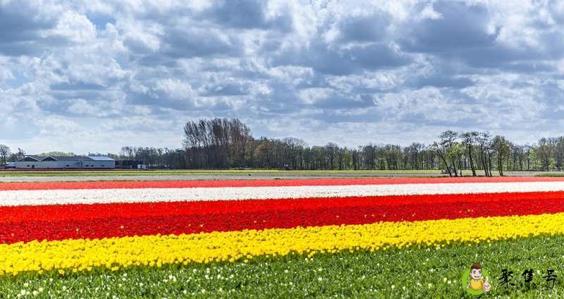 nederland是哪个国家