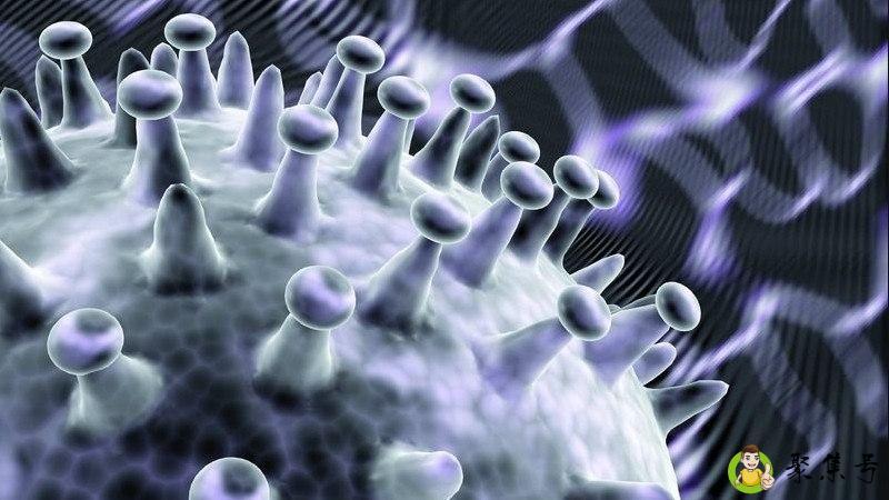 细胞由什么物质组成