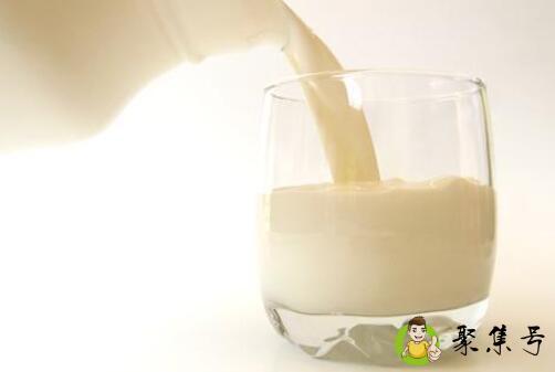 植物蛋白和乳清蛋白的区别