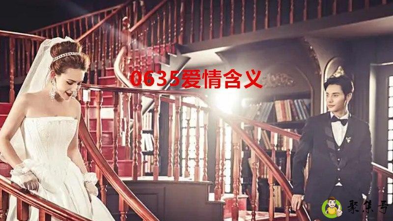 0635爱情含义