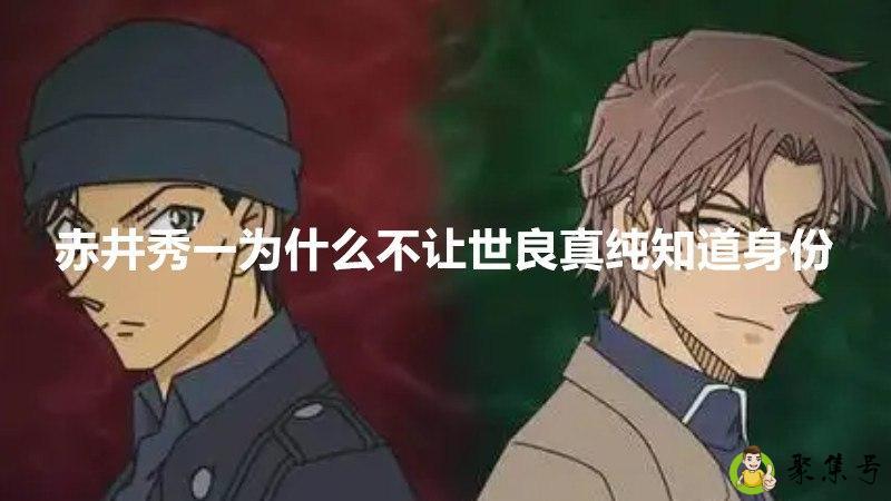 赤井秀一为什么不让世良真纯知道身份