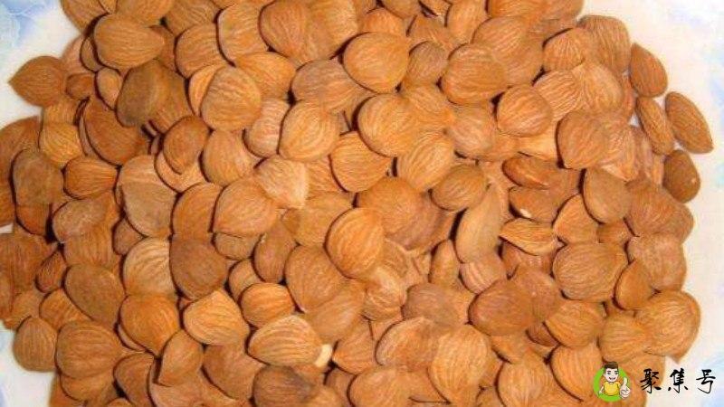 杏核是干垃圾还是湿垃圾