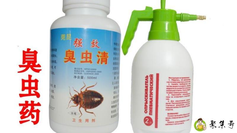 臭虫用什么药