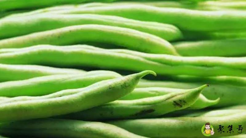 豆角煮多久能熟