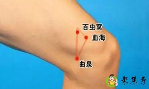 髌底的准确位置是在哪里