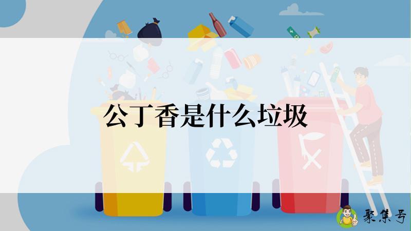 公丁香是什么垃圾