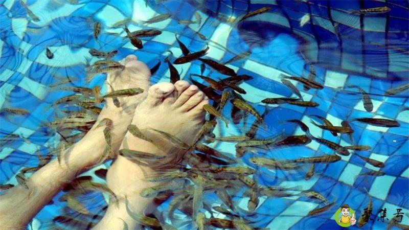 鱼疗时脚越臭鱼越多吗