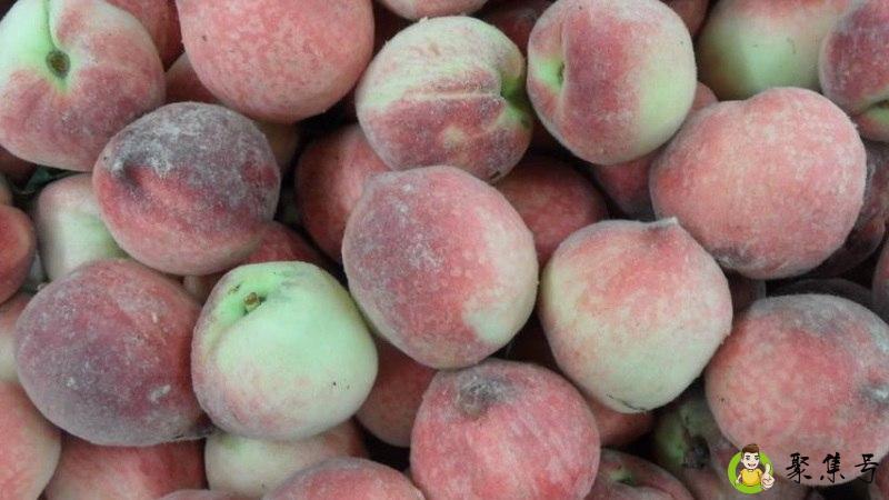 毛桃不能跟什么一起吃