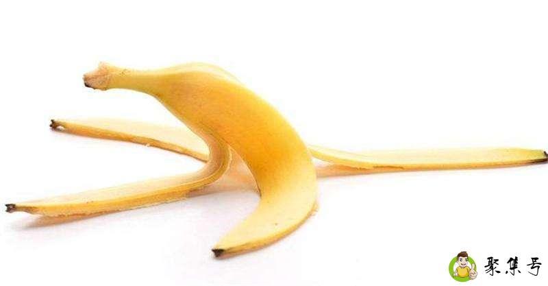 果皮属于什么垃圾