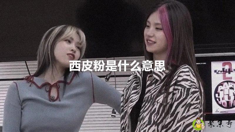 西皮粉是什么意思