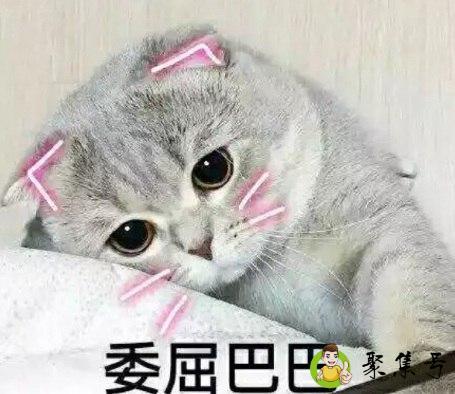 打掉牙往肚子里咽是什么意思