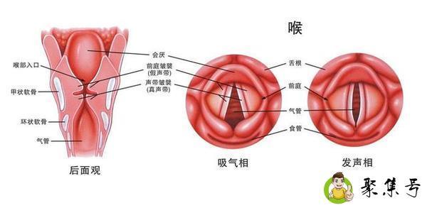 喉喘鸣和有痰的区别