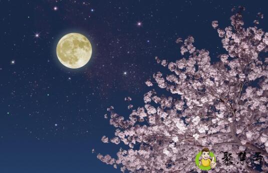 白月光是什么意思梗