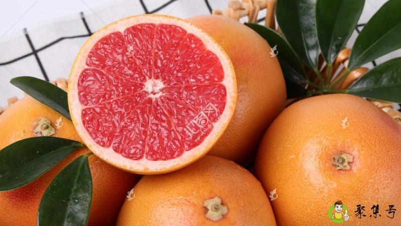 柚子和西柚的区别-