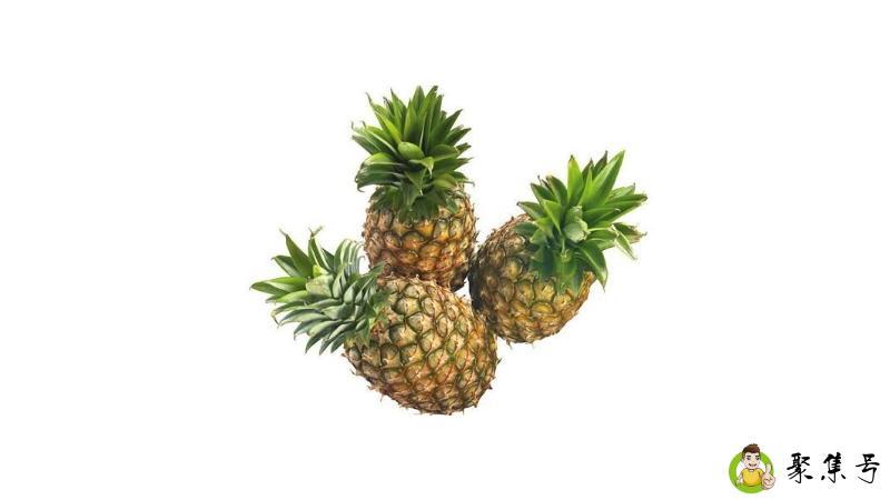 网络语菠萝是什么意思