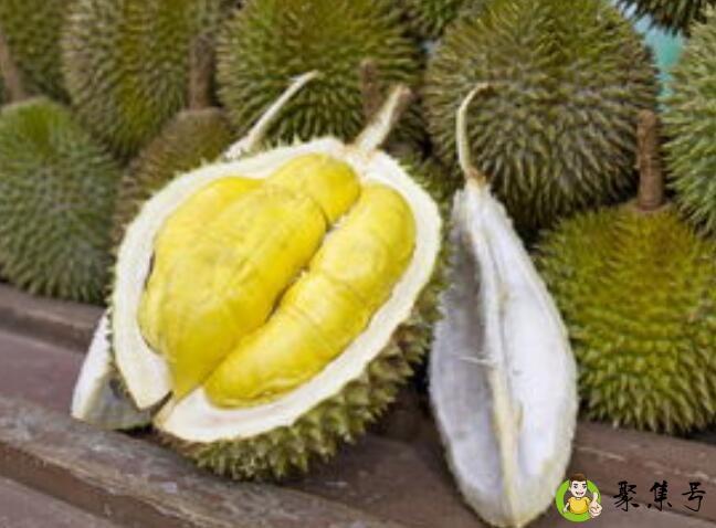 详细阅读:大象榴莲和金枕榴莲区别 大象榴莲和金枕榴莲区别