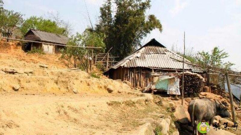 详细阅读:人间真实什么意思 人间真实什么意思