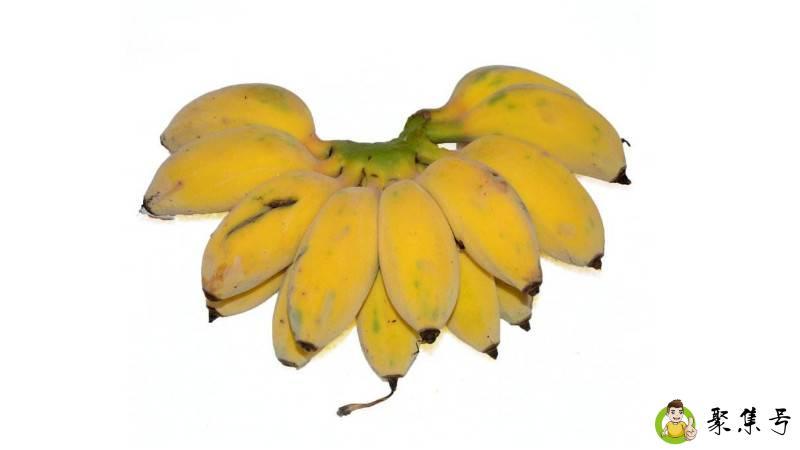 苹果蕉和香蕉的区别