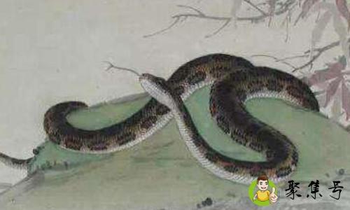 详细阅读:双肖是什么意思 双肖是什么意思