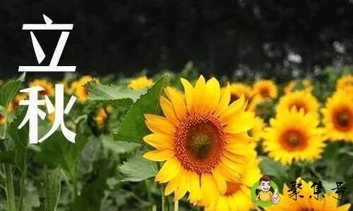 大暑热还是立秋热