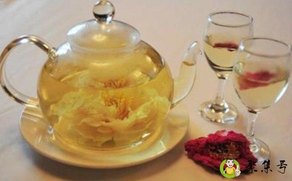 什么花可以泡茶喝