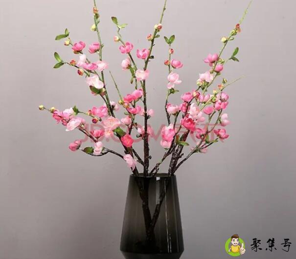 详细阅读:插桃花的花瓶通常用多大的 插桃花的花瓶通常用多大的