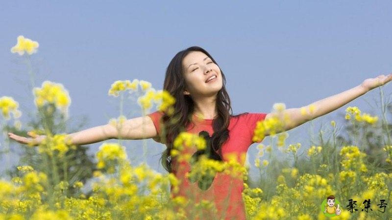 详细阅读:pl代表什么 pl代表什么