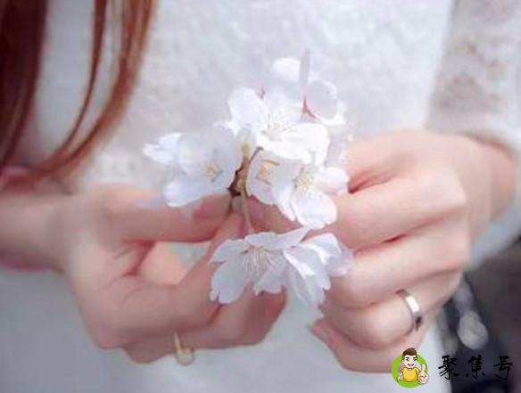 人间最美是清欢是什么意思