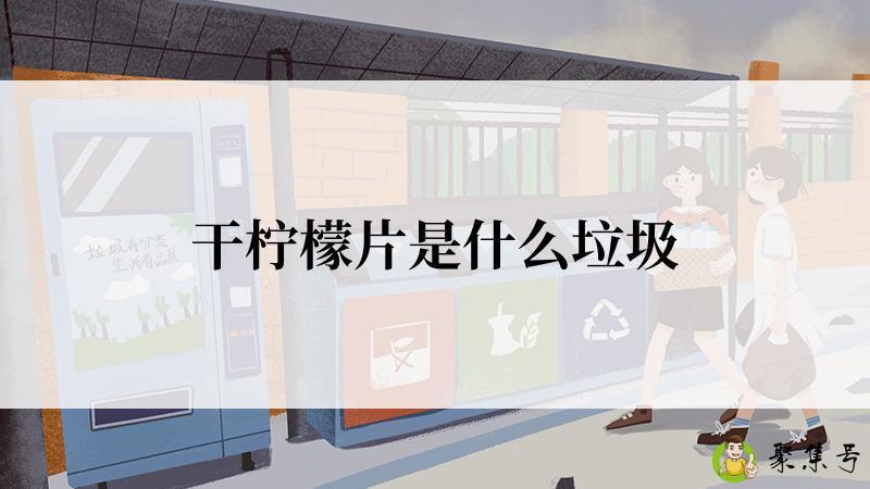 干柠檬片是什么垃圾