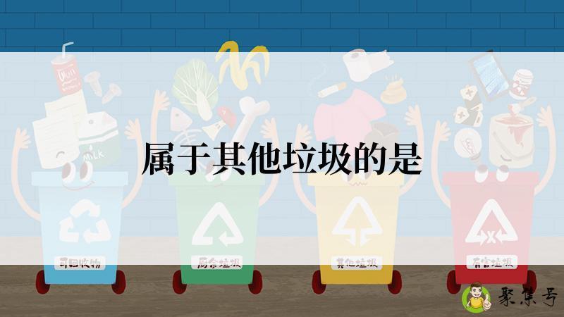 属于其他垃圾的是