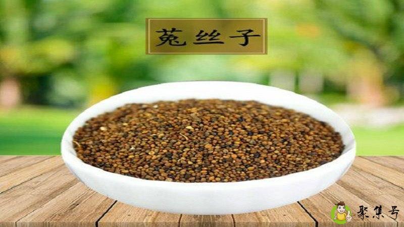 莬丝子怎么泡茶