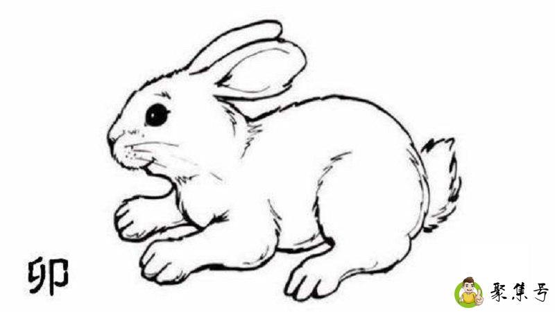 雨鞋代表什么生肖