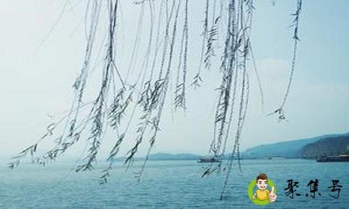 我想认识你趁风不注意什么意思