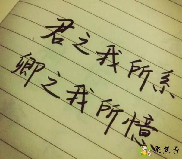 君之我所系 卿之我所忆什么意思