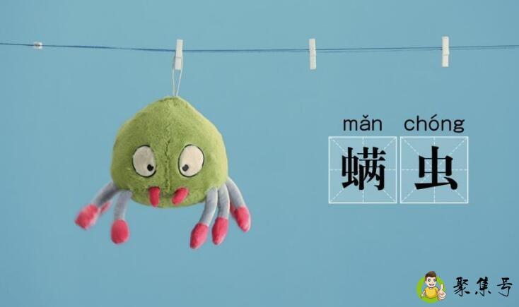 旧棉花弹完会有螨虫吗