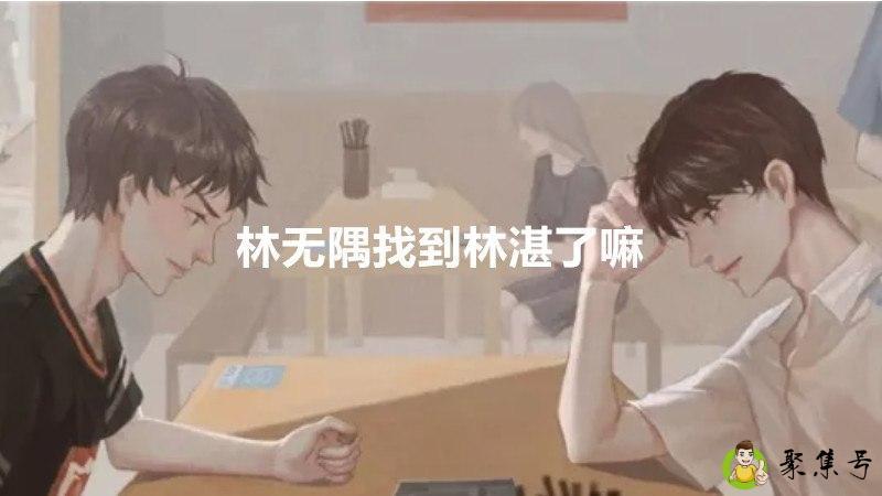 林无隅找到林湛了嘛