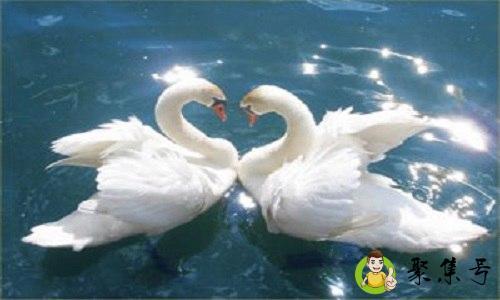 此生与你生死相依是什么意思