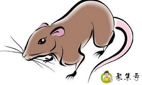 一诺千金重诺言是什么生肖