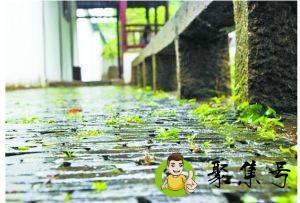 长江中下游梅雨季节是什么时间