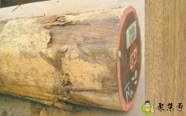 爱里古夷苏木是黑檀吗