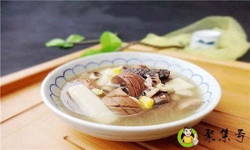 团鱼和甲鱼的区别