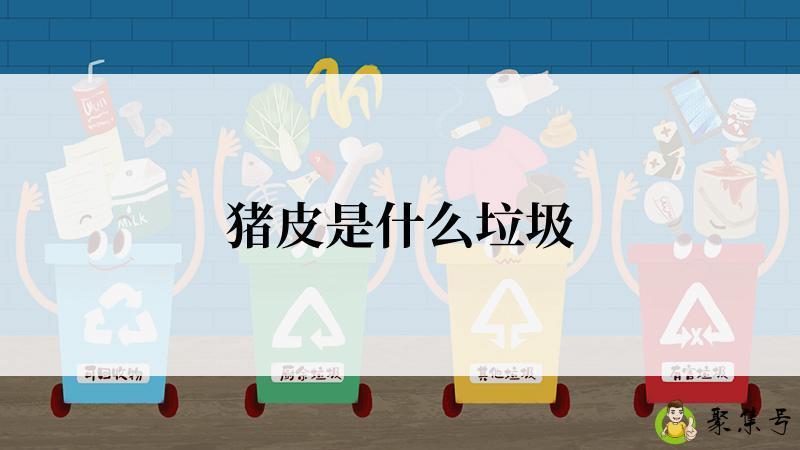 猪皮是什么垃圾