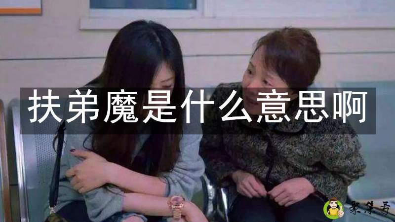 扶弟魔是什么意思啊