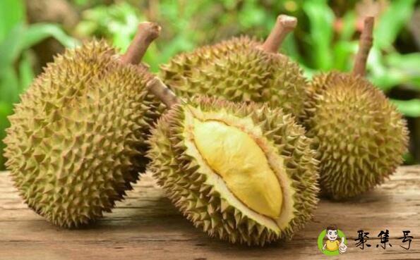 榴莲的英文